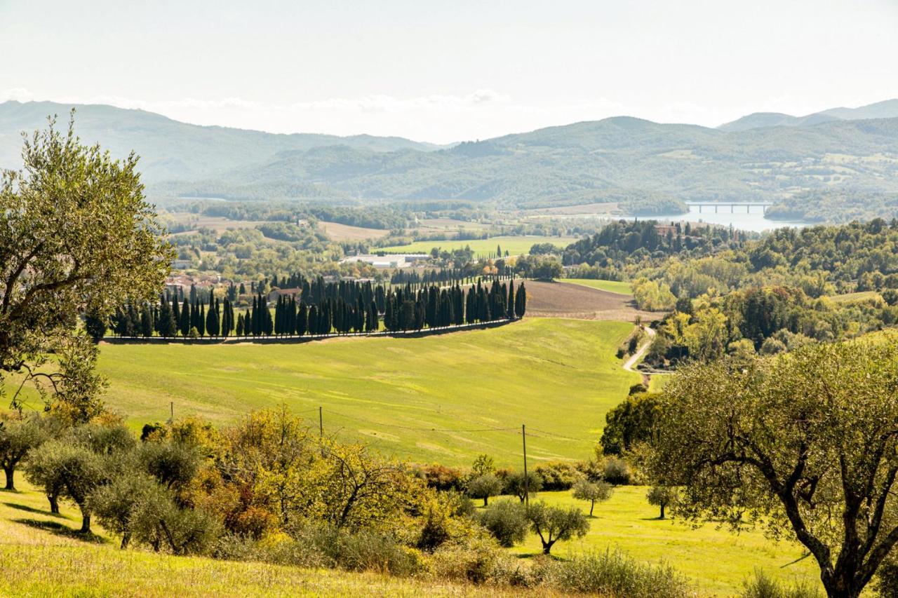 Apartamento Borghetto Il Poggiolo Mugello - Affitti Brevi Italia Scarperia Exterior foto
