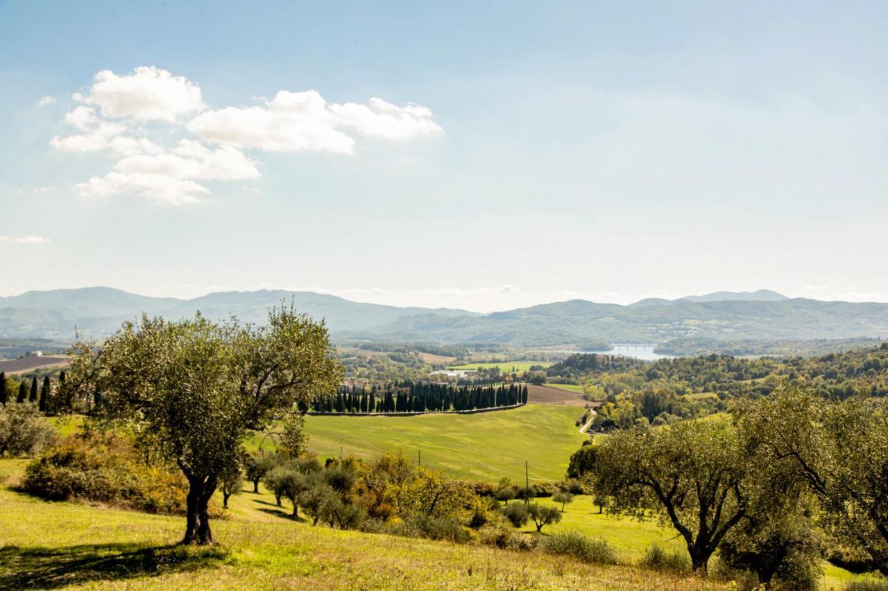 Apartamento Borghetto Il Poggiolo Mugello - Affitti Brevi Italia Scarperia Exterior foto